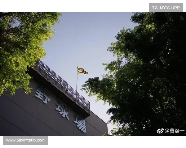 海南博鳌论坛将举办棒球经济峰会 探讨泛亚太联赛商业化发展路径 海南博鳌论坛将举办棒球经济峰会 探讨泛亚太联赛商业化发展路径